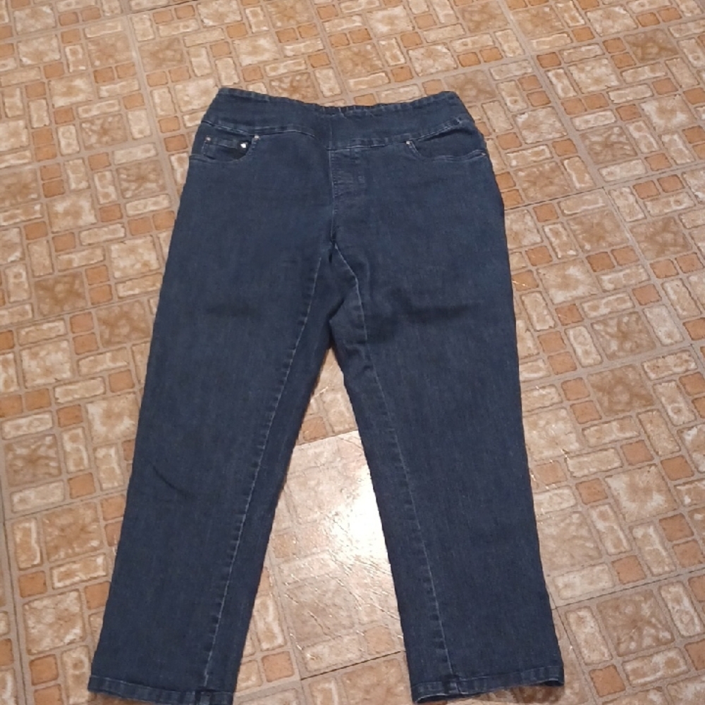 Stylish Blue Denim Jeans Women's Size 10p Pull On Jeans